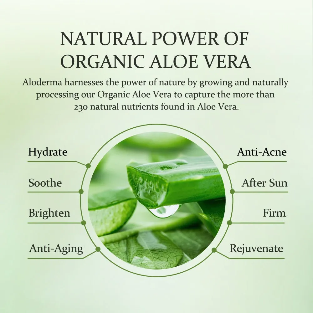 Aloe Soothing & Moisturizing Cream by ALODERMA