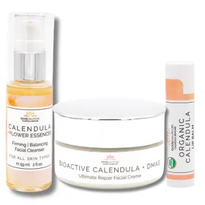 Bodyceuticals Facial Bundle