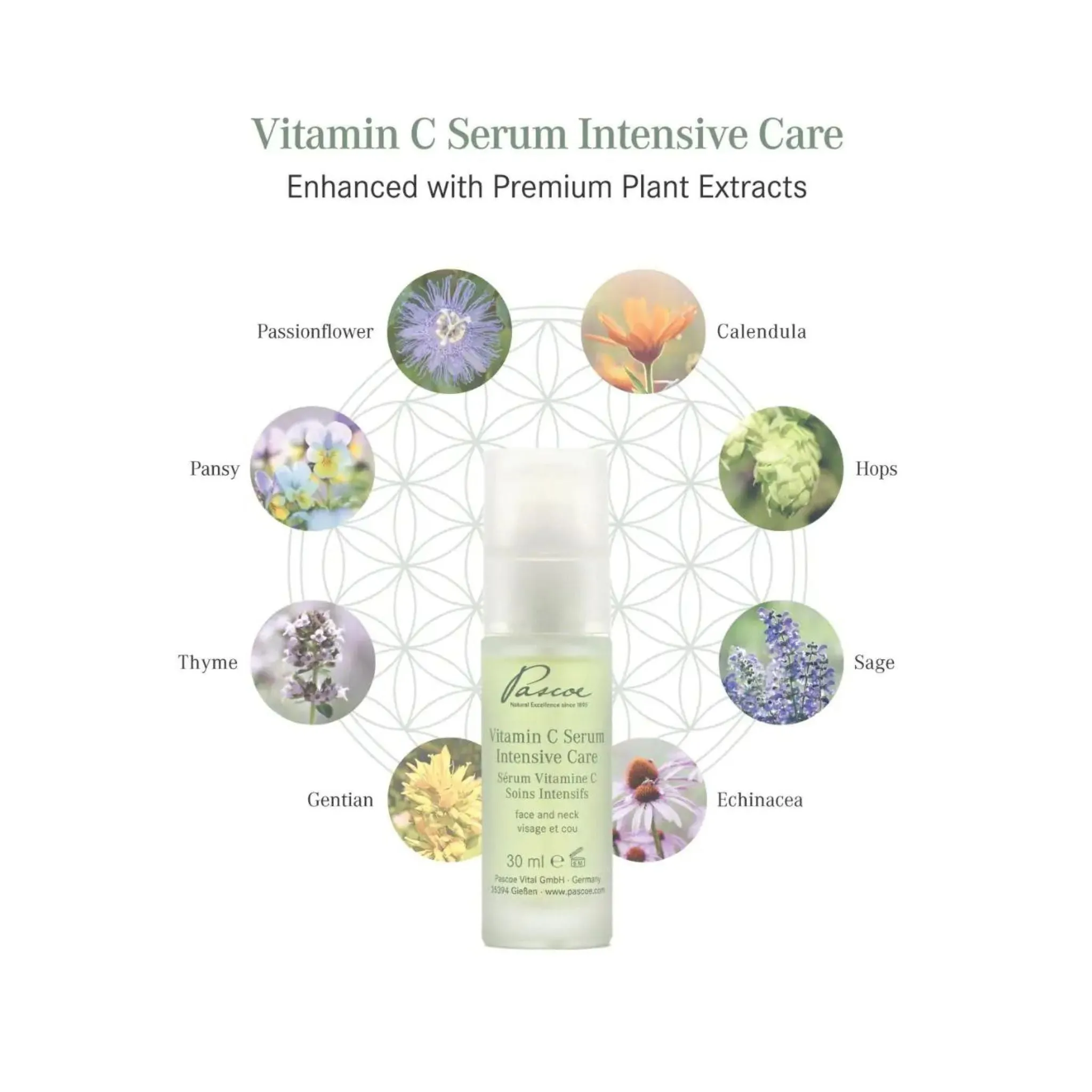 Pascoe Vitamin C Serum 30ml